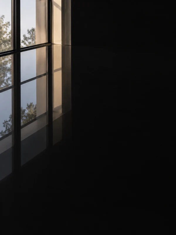 Poli miroir